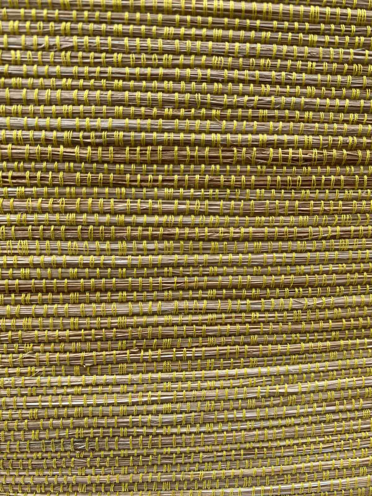 CANARY YELLOW B