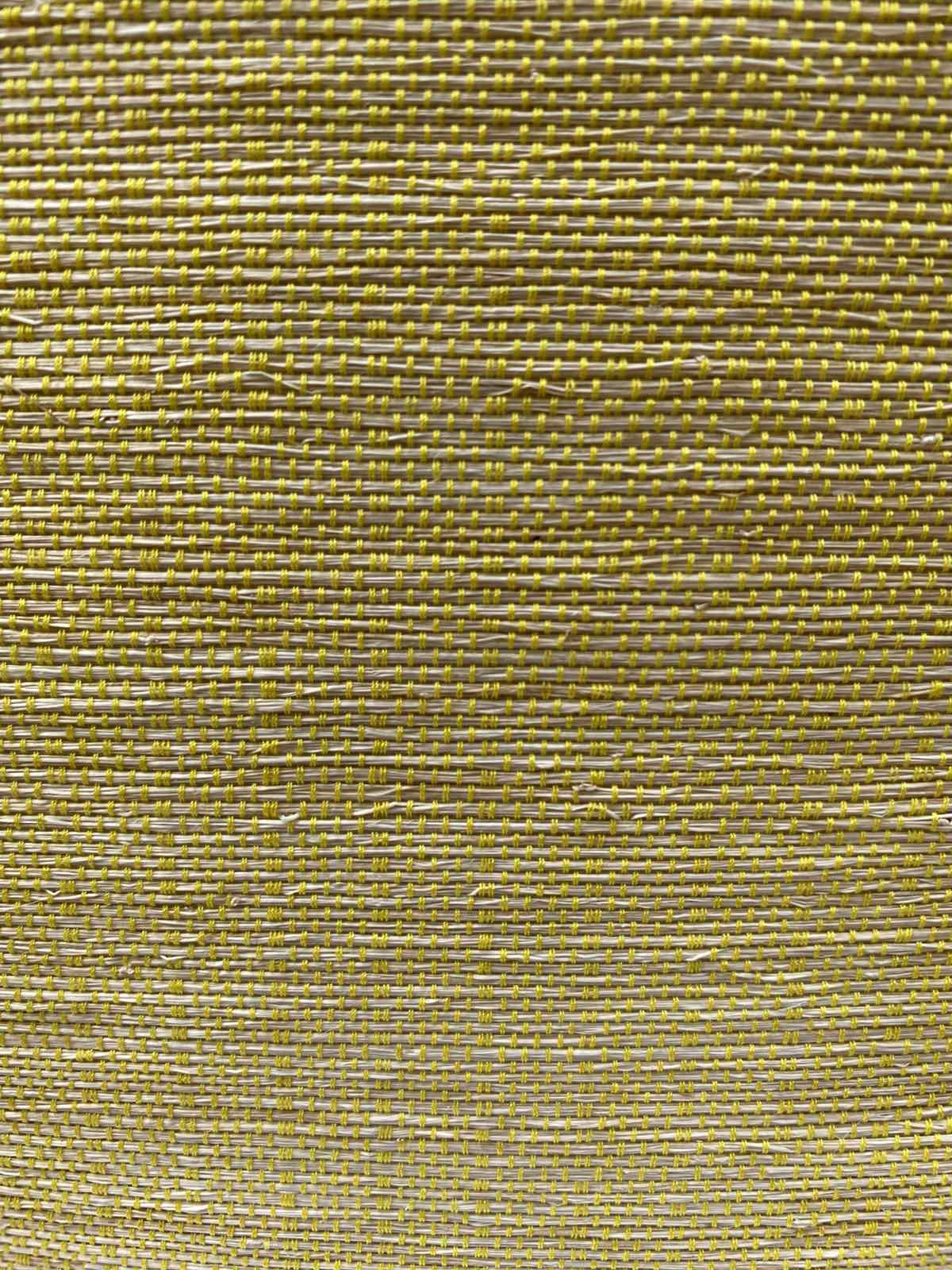 CANARY YELLOW TT
