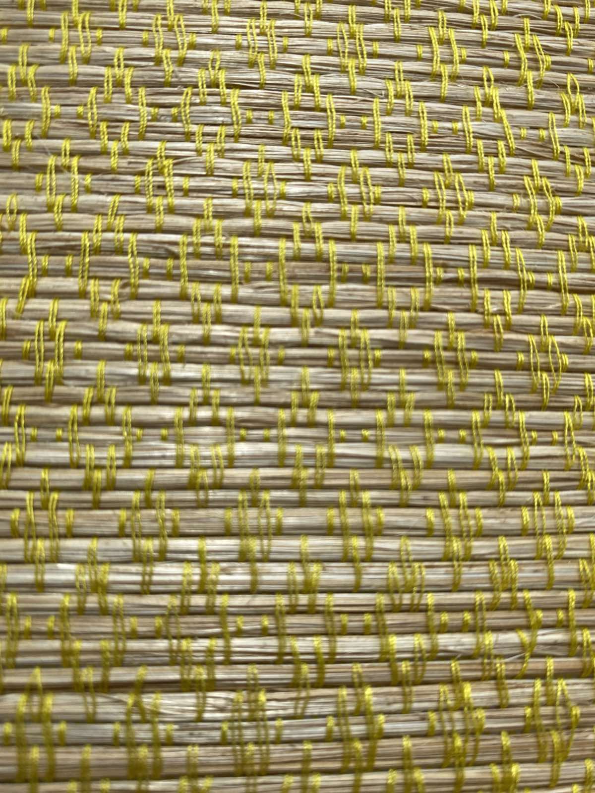 CANARY YELLOW B