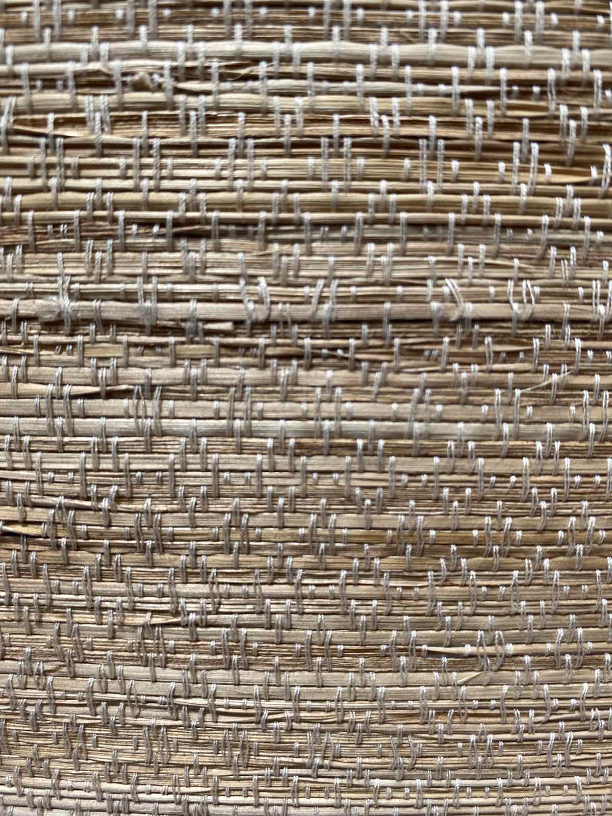 IVORY TL