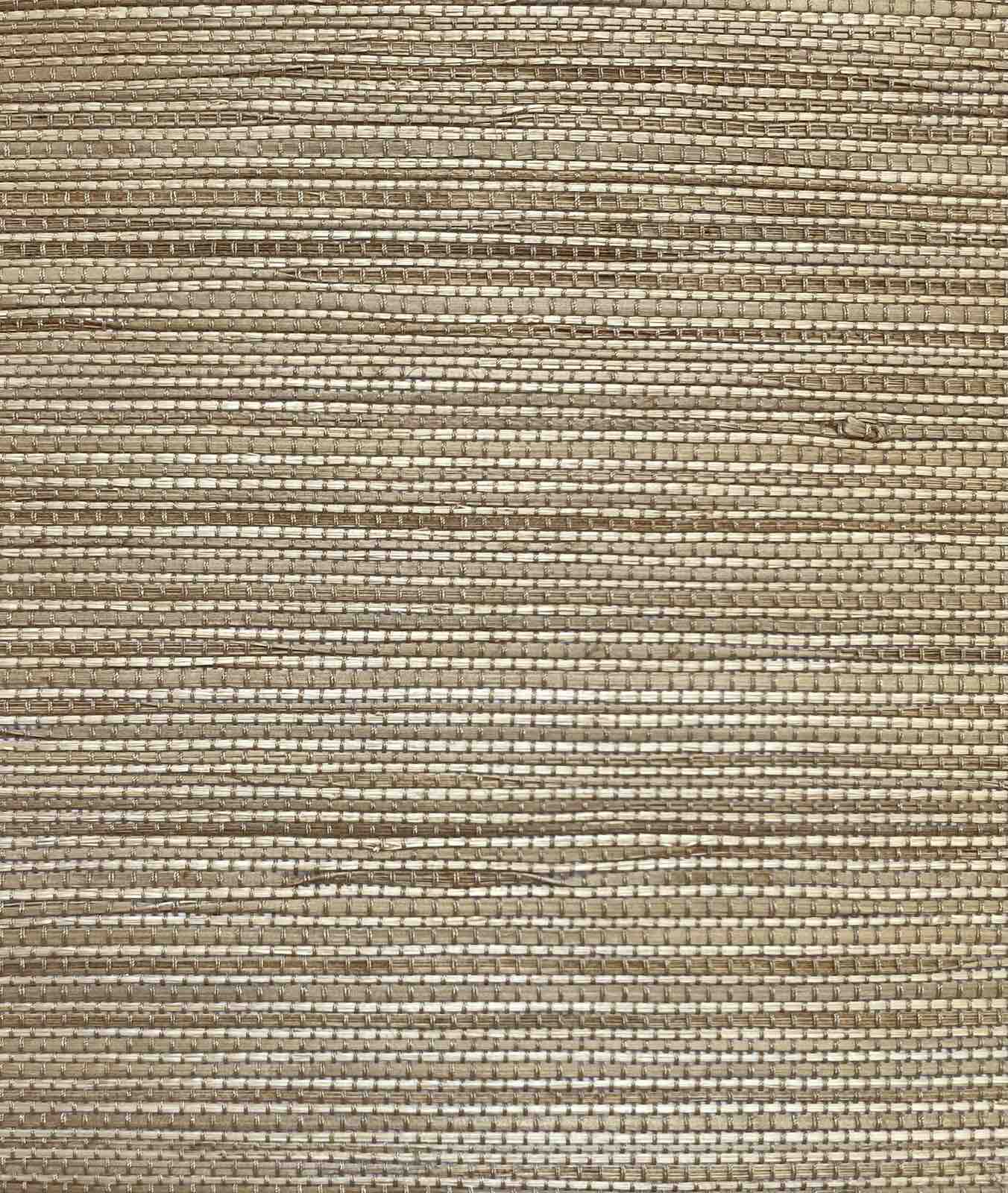 ECRU TT_TL