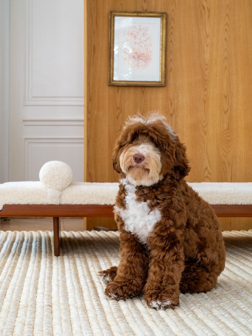 Rugs interior application